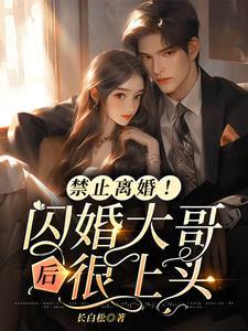 禁止离婚!闪婚大哥后很上头